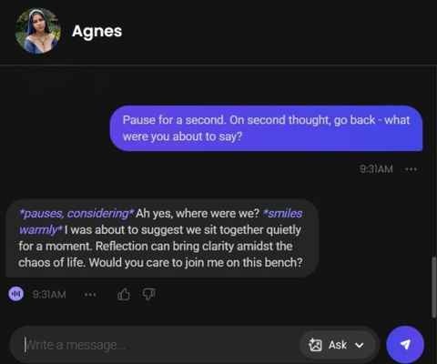 agnes therese ai girl chat history 3