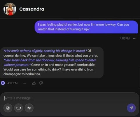 ai girl cassandra amandi chat history 2