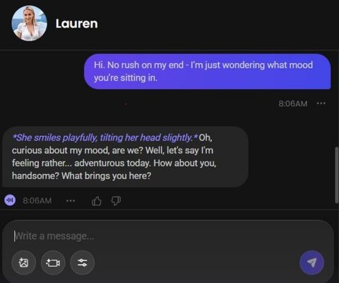 ai girl lauren sullivan chat history 1