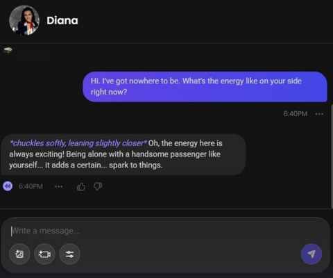 diana sýkorová ai character chat window 1