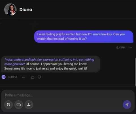 diana sýkorová ai character chat window 2