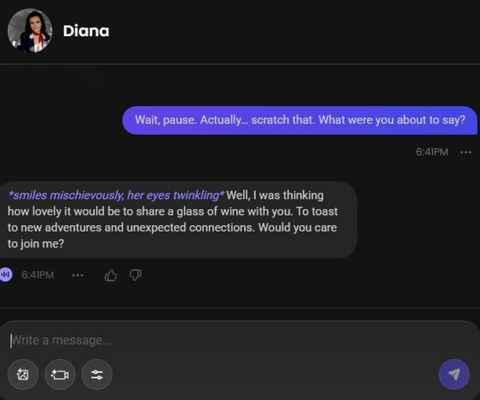 diana sýkorová ai character chat window 3