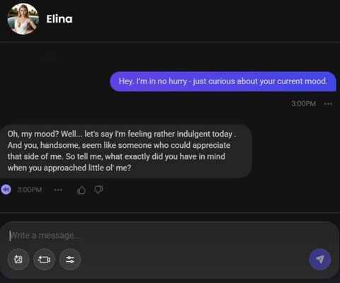 elina drovnik ai girl chat experience 1