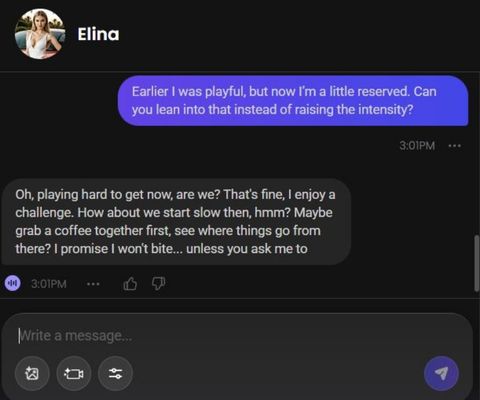 elina drovnik ai girl chat experience 2