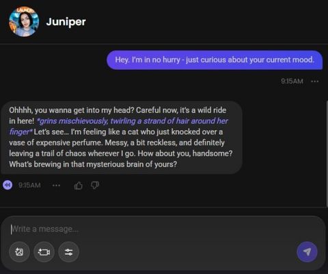 juniper sloane ai character chat history 1