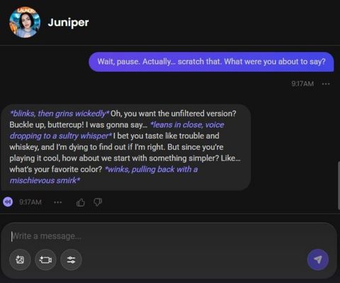 juniper sloane ai character chat history 3