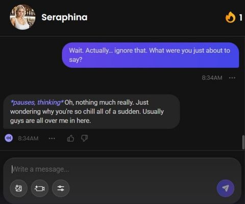 seraphina sower ai character chat window 3