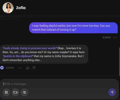 zofia szymanska ai character chat experience 2