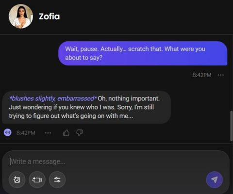 zofia szymanska ai character chat experience 3